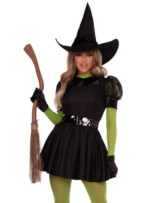 Bewitching Witch Costume