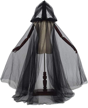 Sheer Cape with Hood in Black